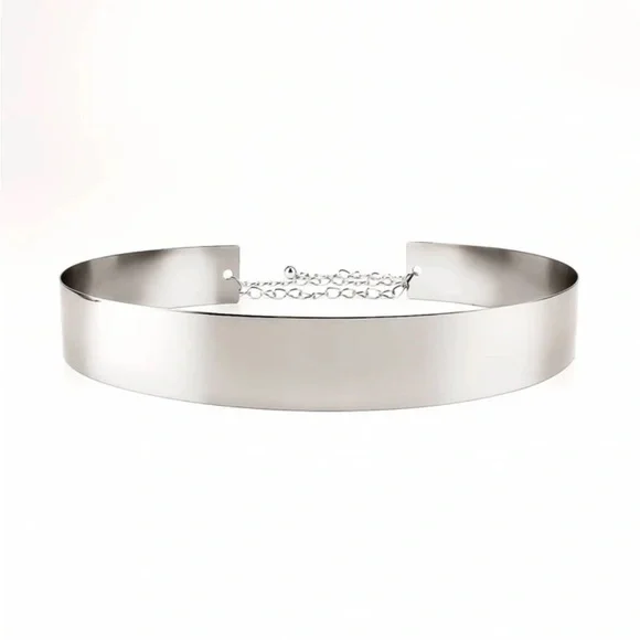 Sleek Silver Women’s Belt - Picture 5 of 8